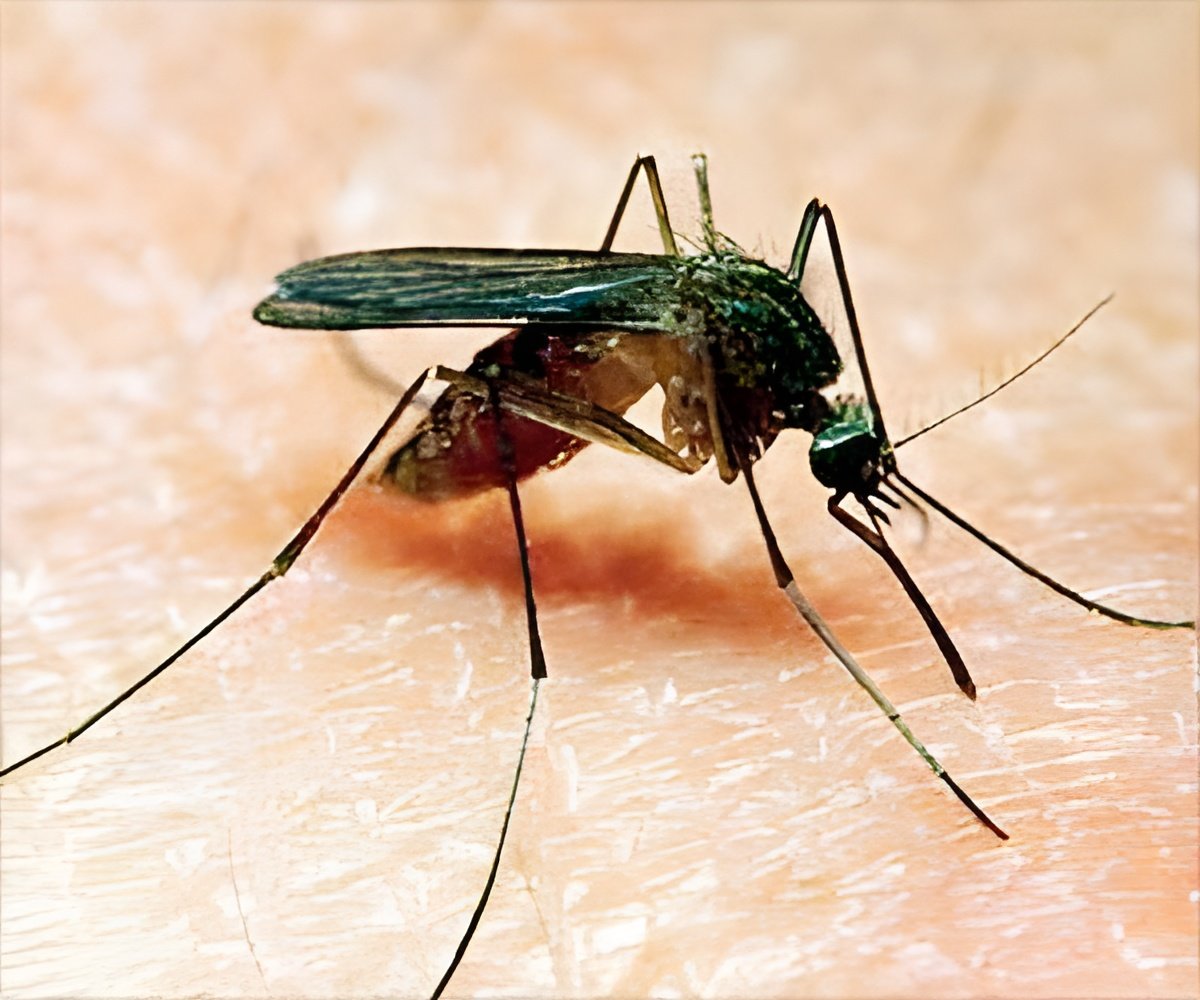 West Nile Fever Makes Its Debut in Latvia