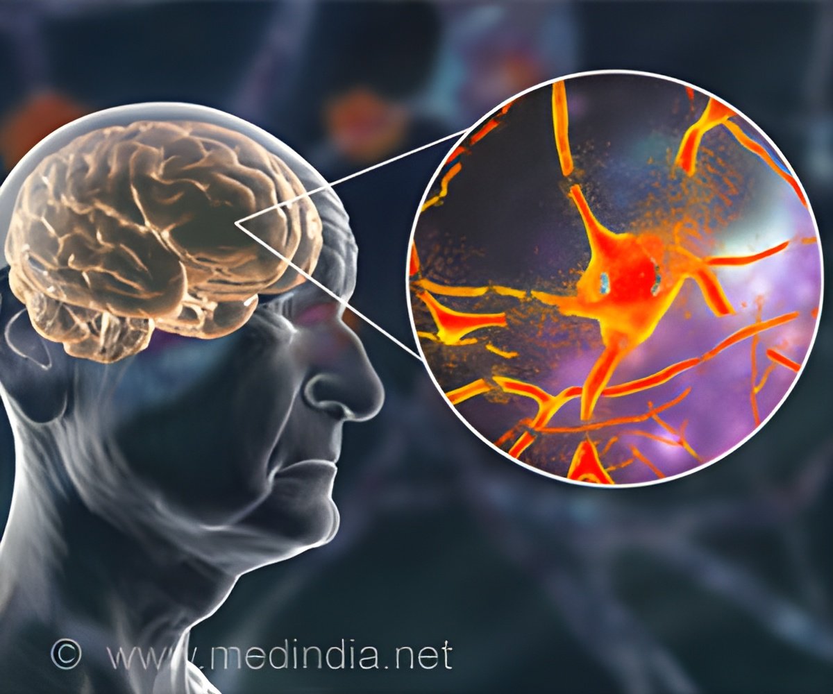 Researchers Develop Rapid Screening System to Target Harmful Amyloid Proteins