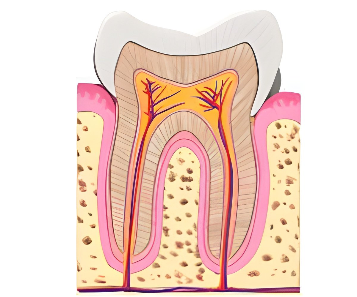 Immune Targeting to Prevent and Treat Periodontal Disease