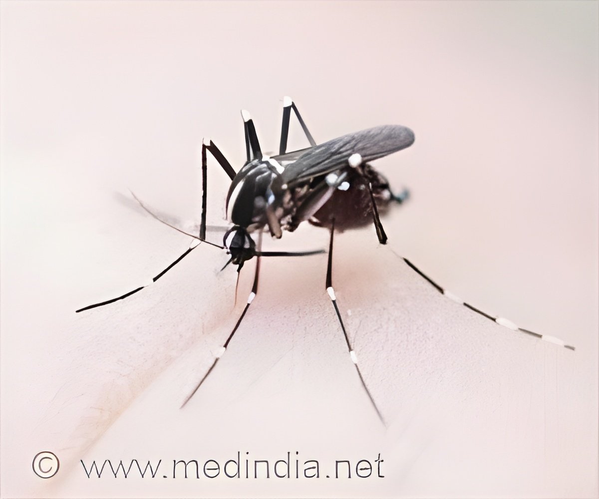 Global Warming on the Rise! Know Ways to Avoid Mosquito-Borne Diseases