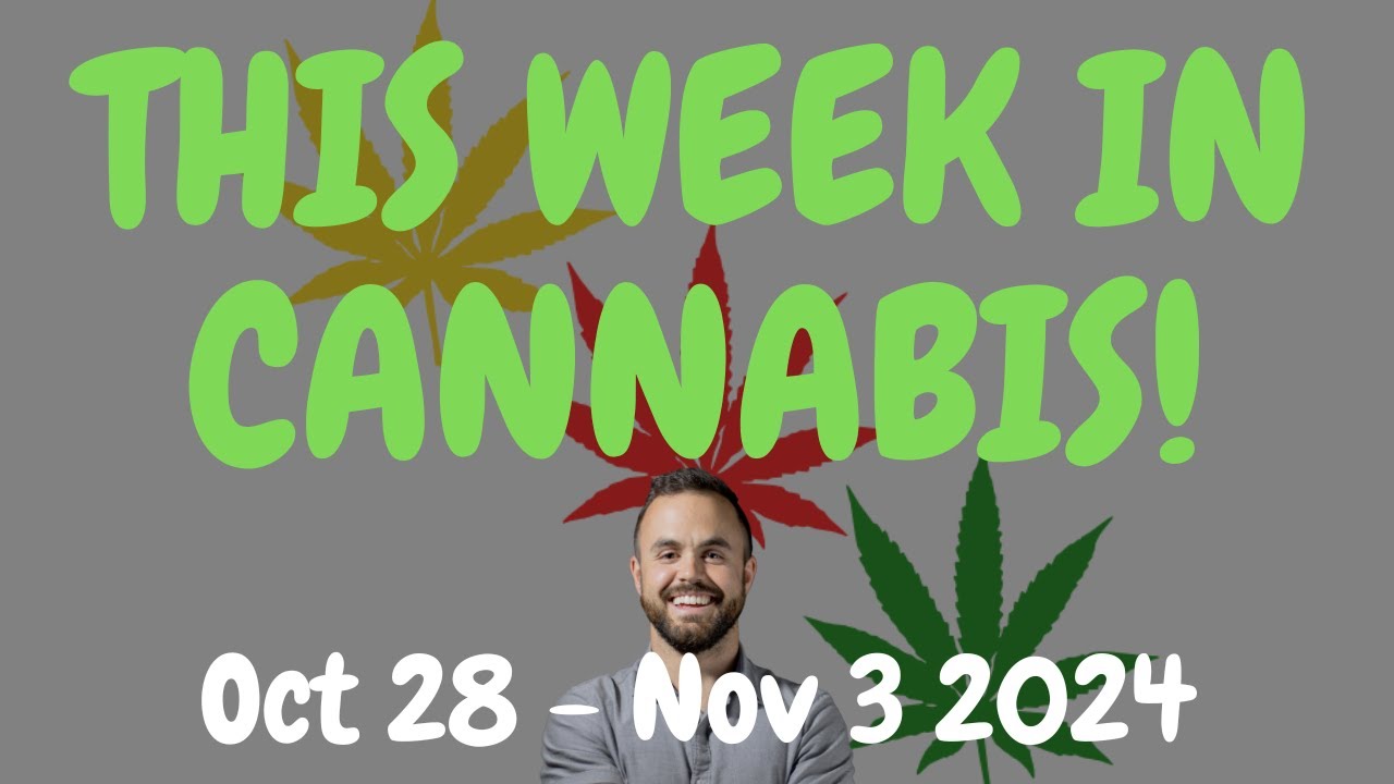 This Week in Cannabis News – Oct 28 to Nov 3 2024