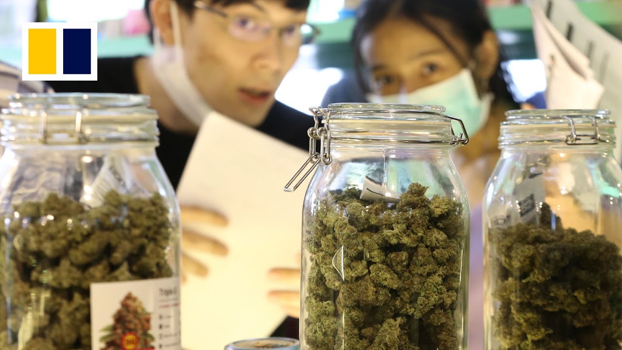 Thailand to outlaw marijuana by end of 2024