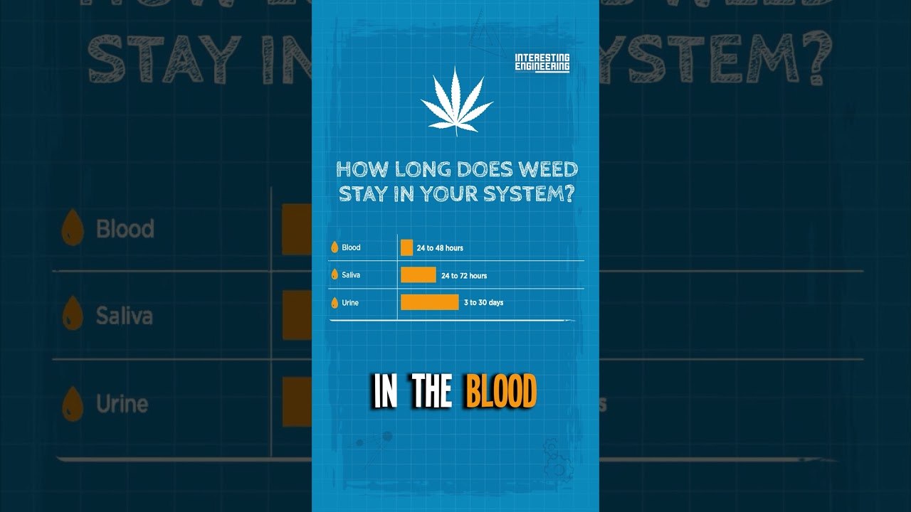 Why Police Don't Have Marijuana Tests?