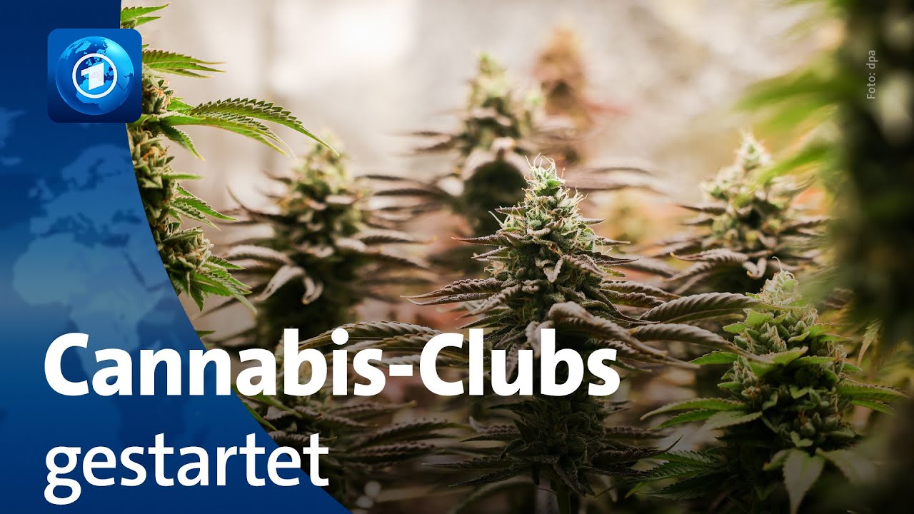 Cannabis-Clubs dürfen in Deutschland aktiv werden