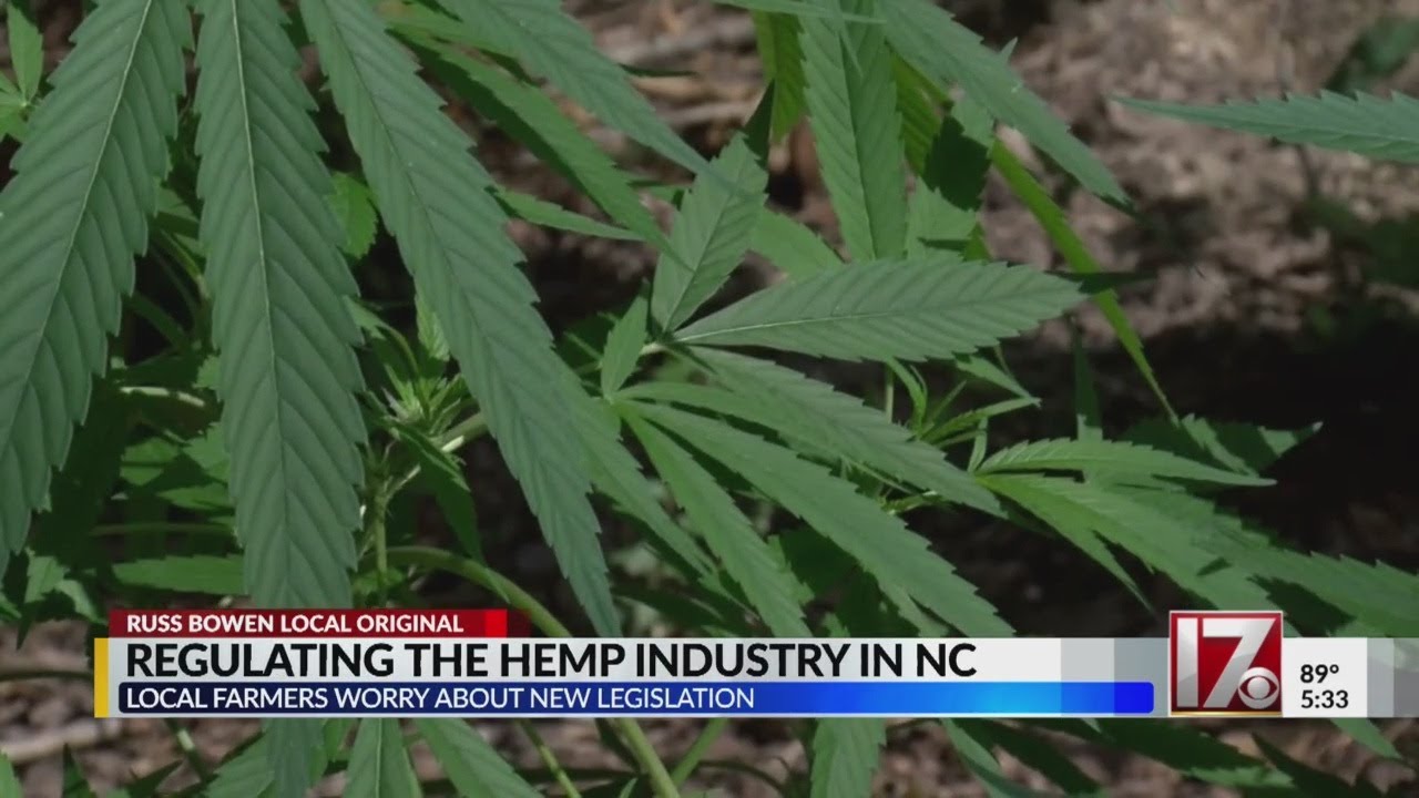 NC farmers lobby against potential hemp growing regulations