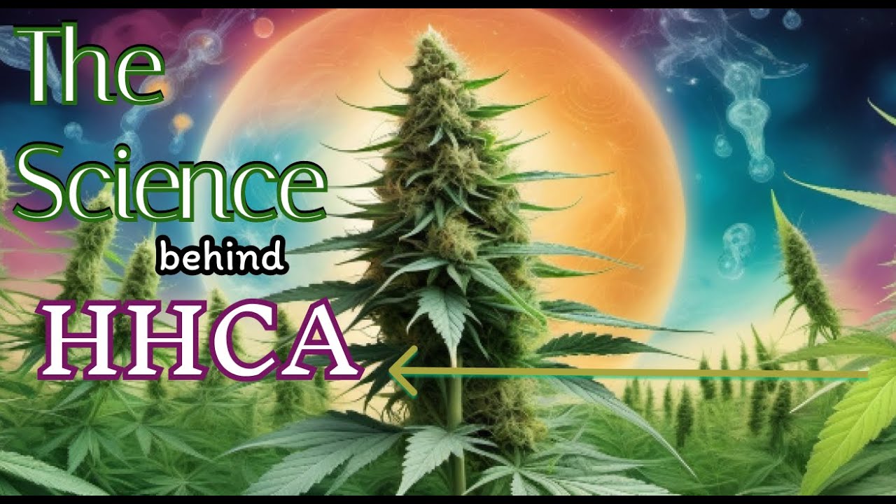 HHCA Breakthrough – The Future of Cannabis Chemistry?