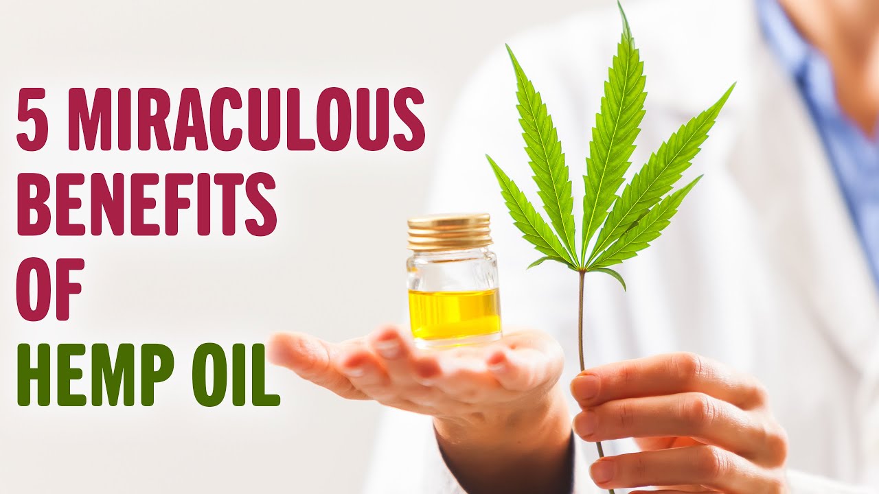 5 Miraculous Benefits of Hemp Oil! | Benefits of | Healthy Living Tips