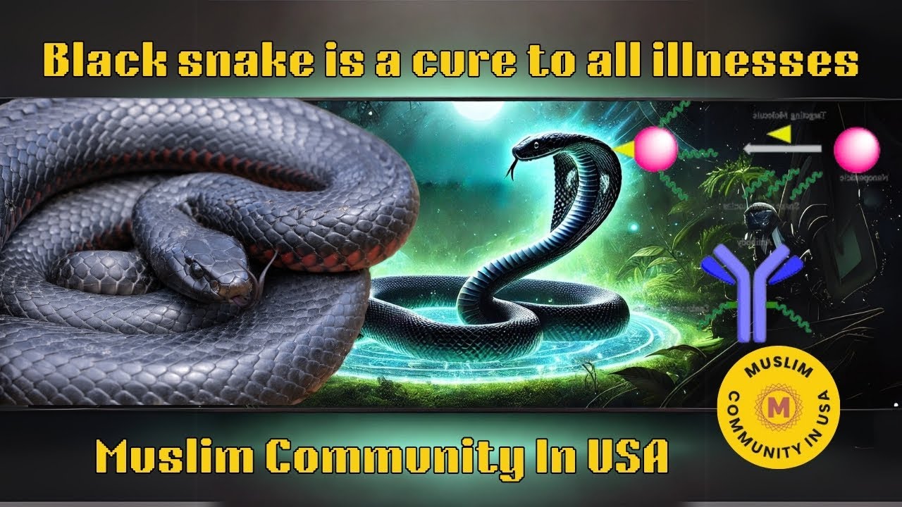 Black snake is a cure to all illnesses | Muslim Community In USA