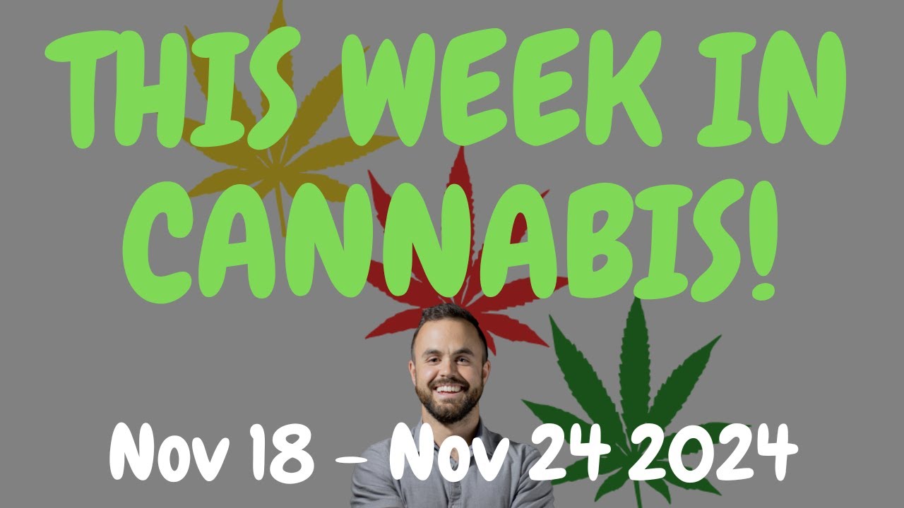 This Week in Cannabis News – Nov 18 – Nov 24 2024