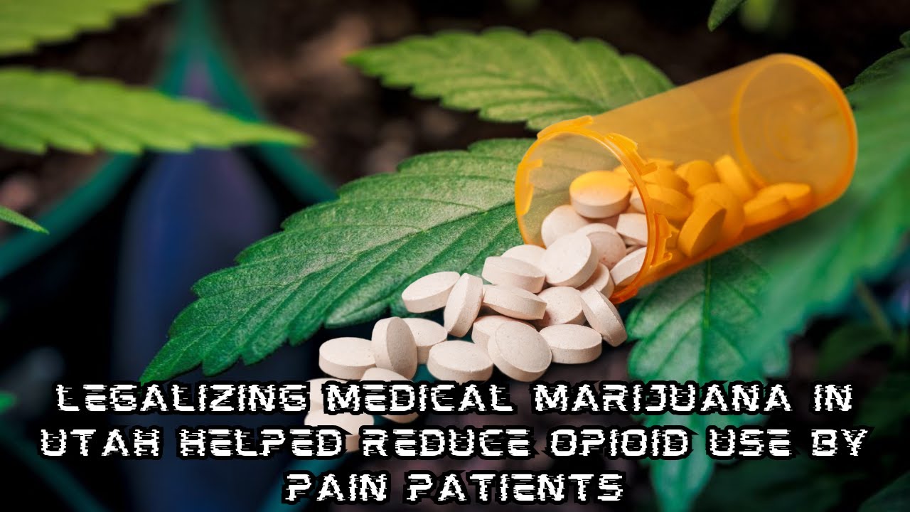 Legalizing Medical Marijuana In Utah Helped Reduce Opioid Use By Pain Patients, Study Finds