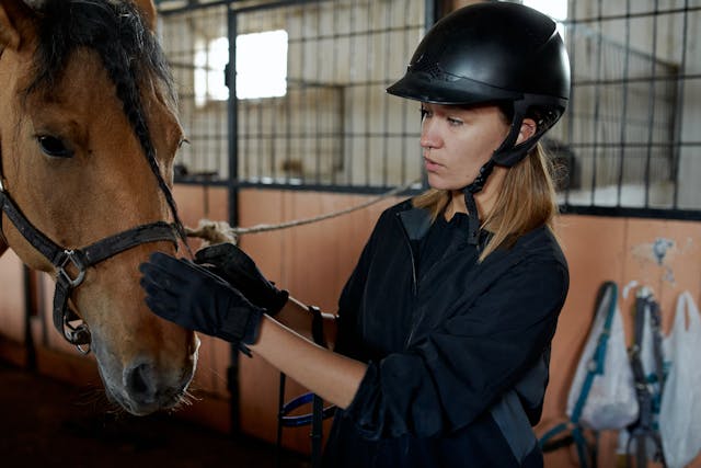 The Importance Of Bridles In Horse Riding