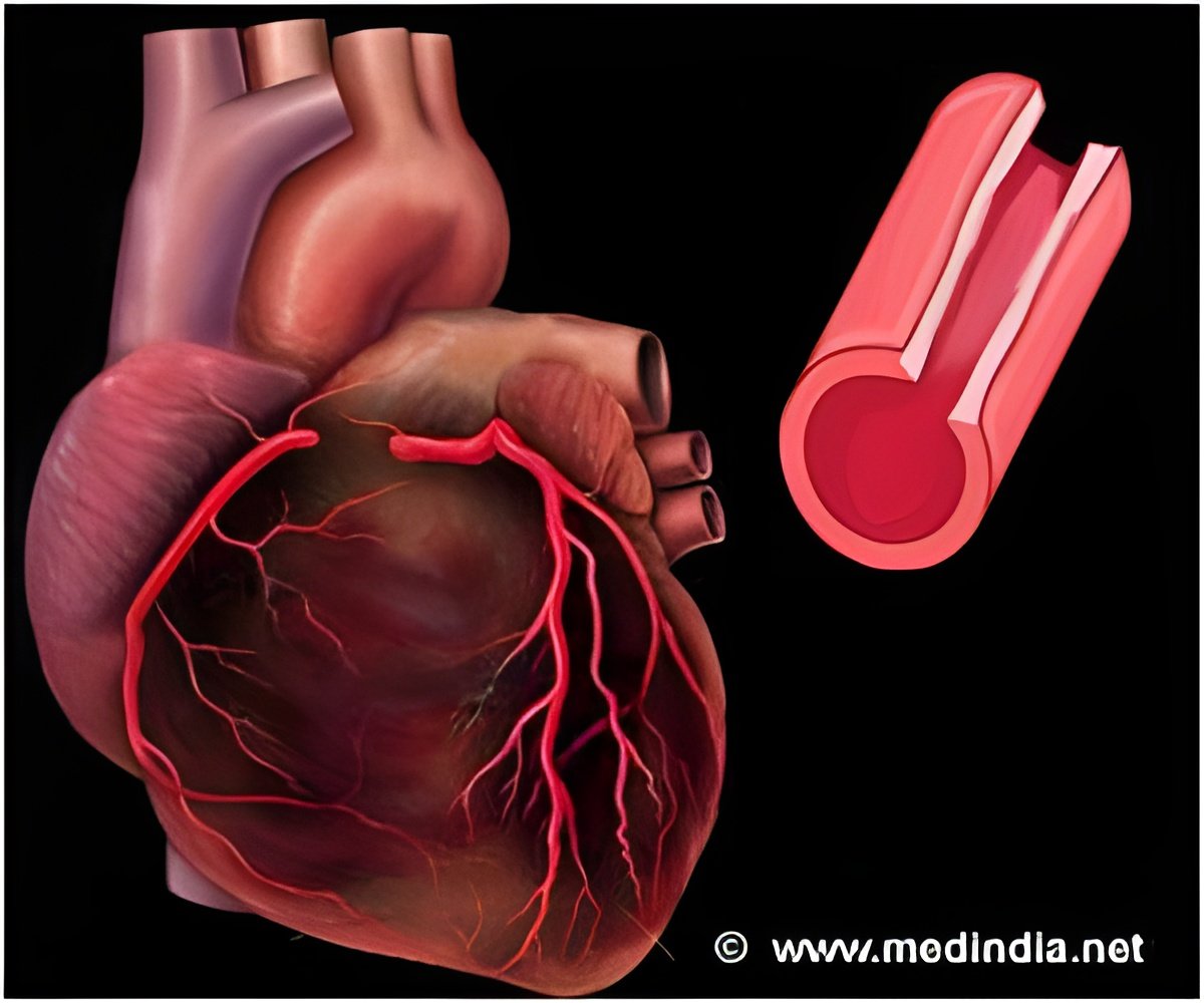 Placental Health Linked to Congenital Heart Defects