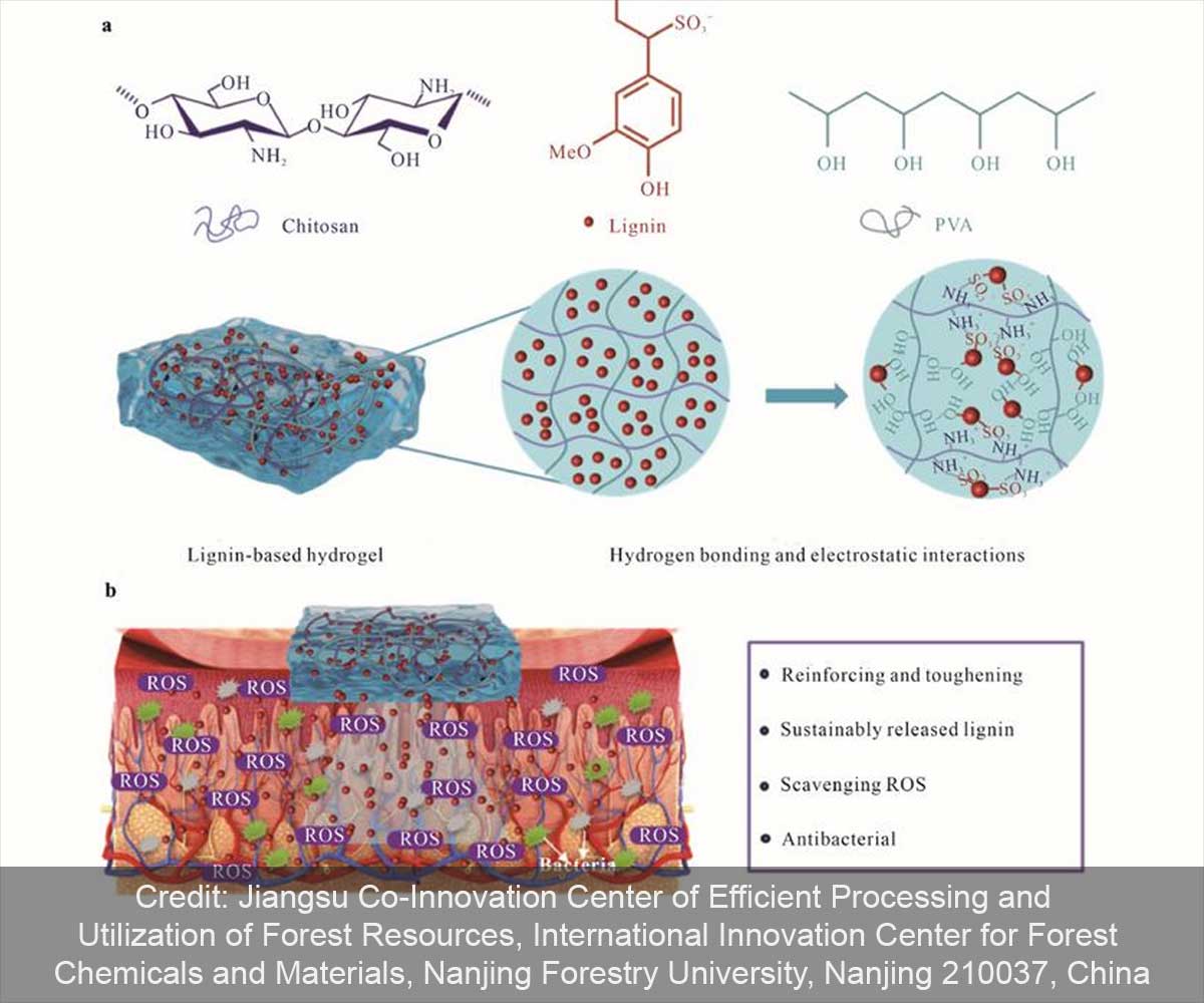 A Breakthrough in Wound Healing and Drug Delivery