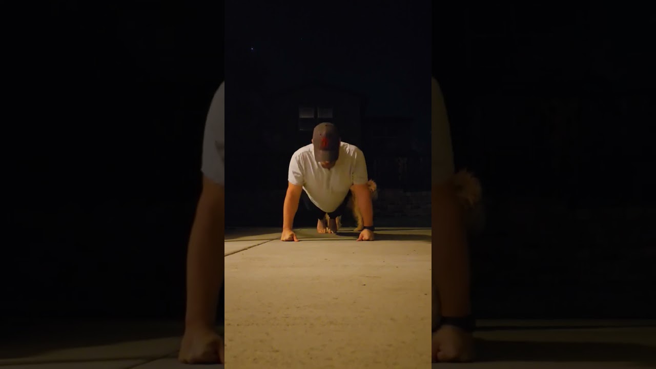 Day 220 – 22 Push Ups  #health #motivation #anxiety  #depression #fitness  #goals #dog #thanksgiving