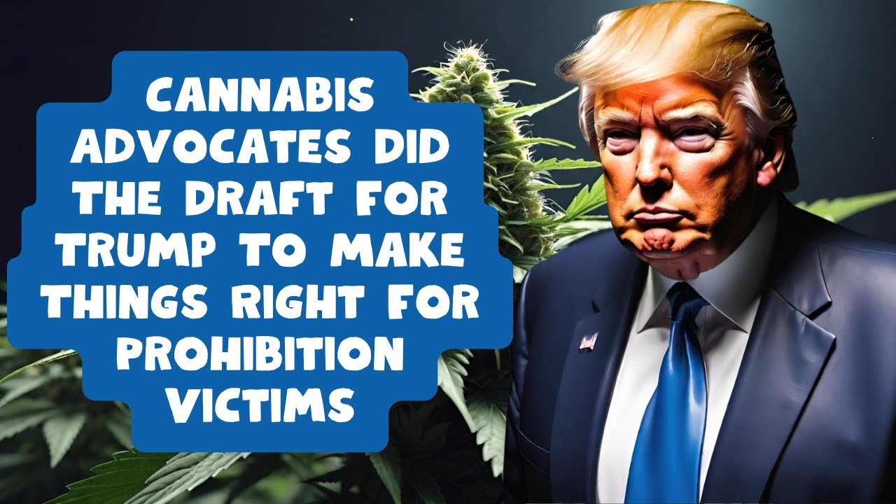 Cannabis Advocates Did The Draft For Trump To Make Things Right For Prohibition Victims