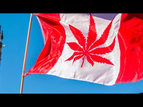 It's official: Canada will become 2nd country to legalize recreational marijuana