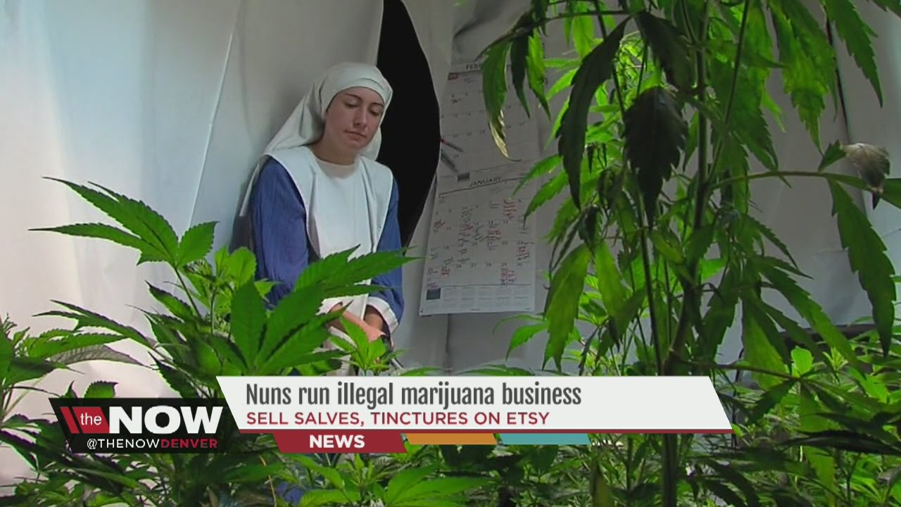 Nuns break the law by growing and selling marijuana illegally