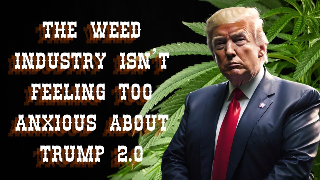 The Weed Industry Isn’t Feeling Too Anxious About Trump 2.0