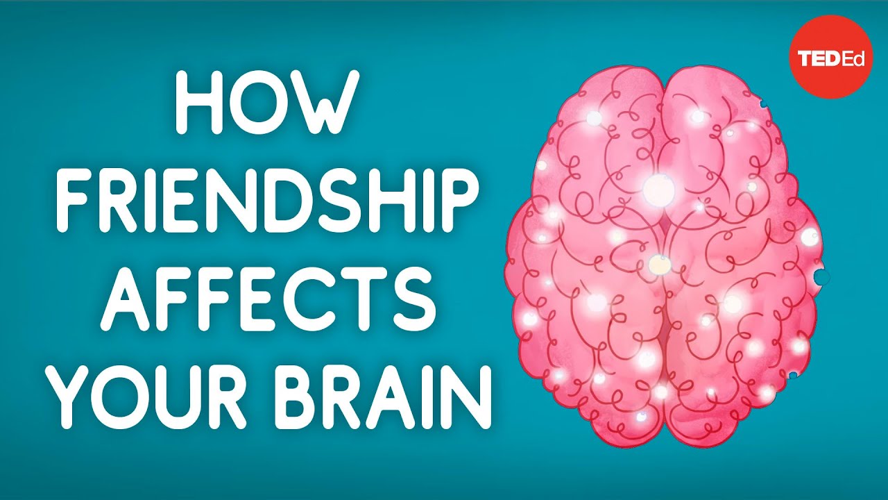 How friendship affects your brain – Shannon Odell