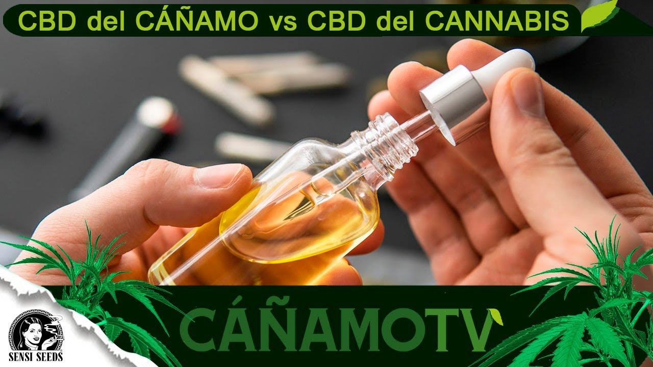 DIFERENCIAS entre el CBD del CÁÑAMO y el CBD del CANNABIS