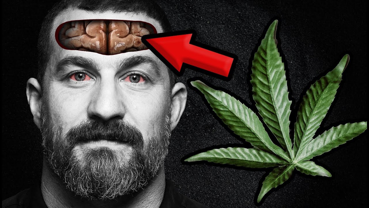 What Happens to Your Brain and Body on MARIJUANA? | Andrew Huberman