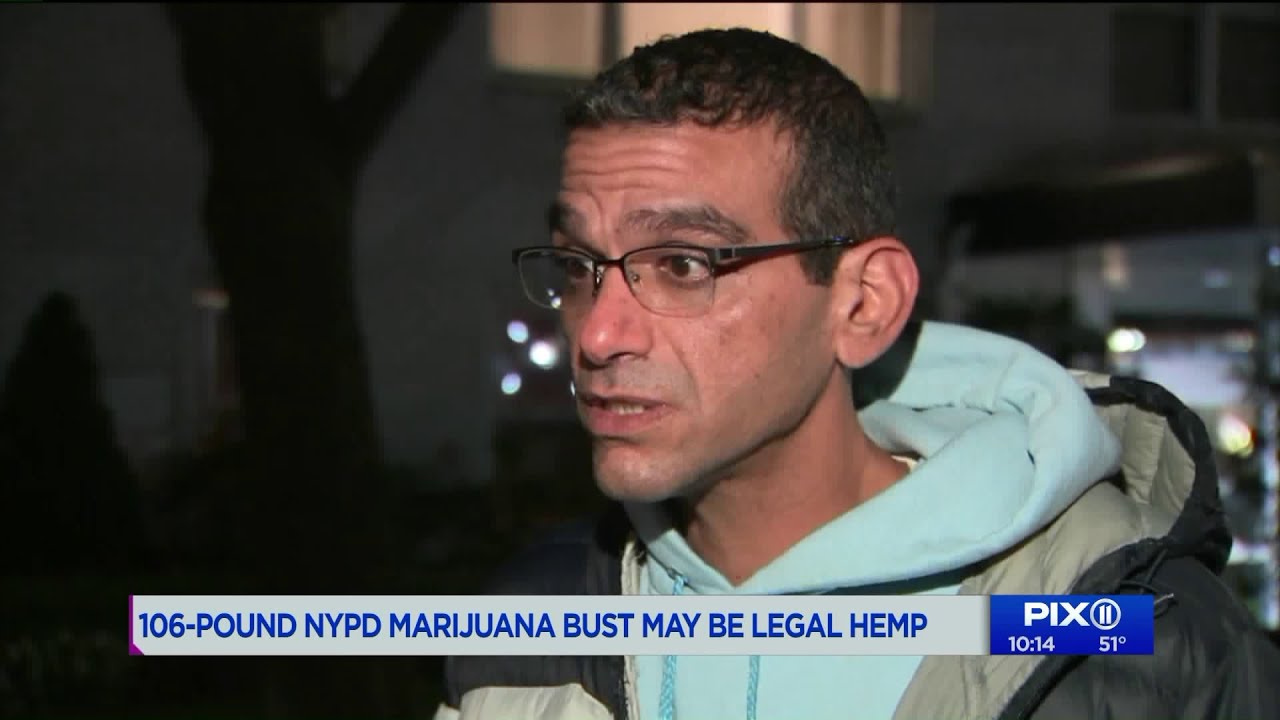 106-pound marijuana bust may be legal hemp