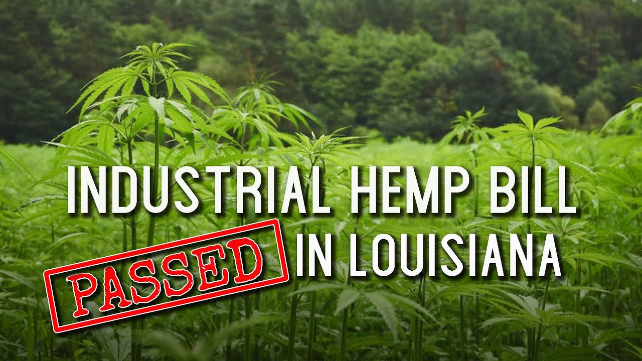 Industrial Hemp Bill Passed in Louisiana