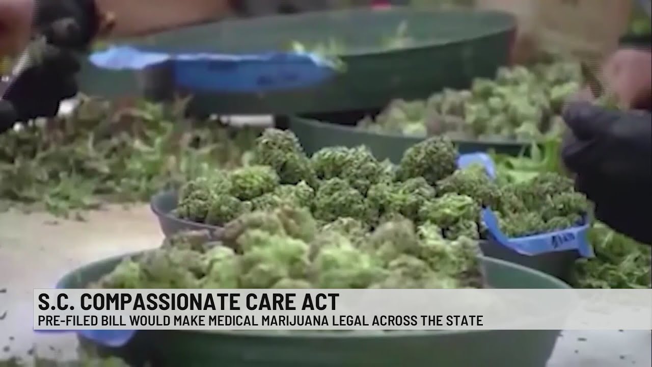 Pre-filed bill would legalize medical marijuana in South Carolina