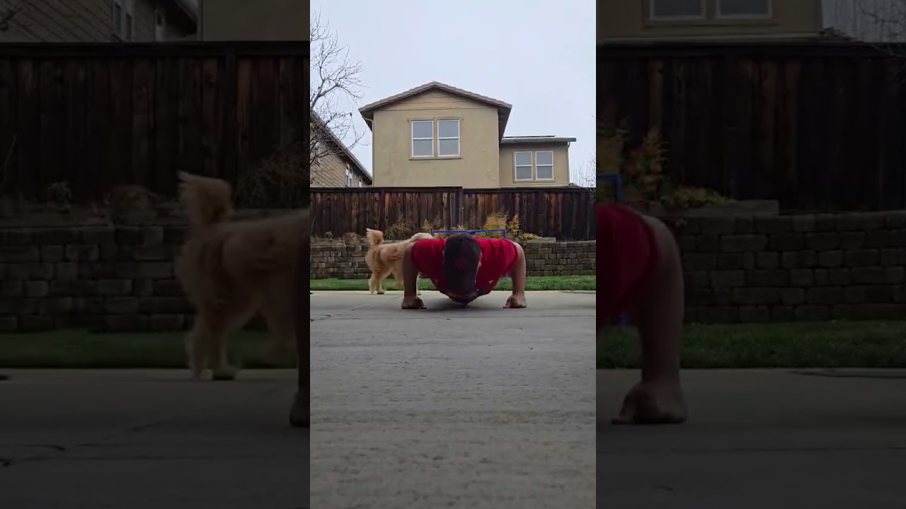 Day 243 – 22 Push Ups  #health #motivation #anxiety  #depression #fitness  #goals #dog #puppy