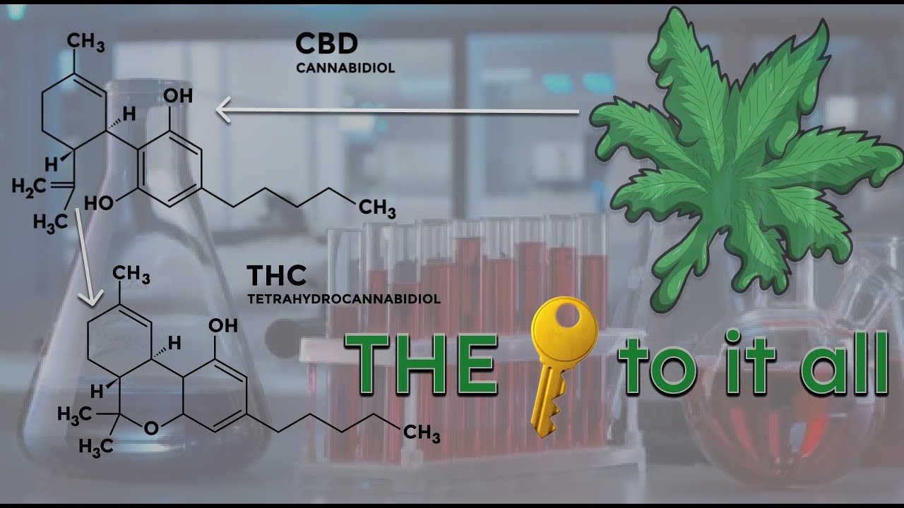 Tired of converting CBD to Delta 8?