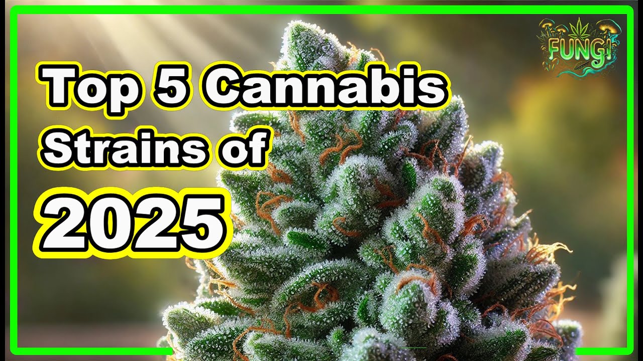 Top 5 Cannabis Strains to Watch in 2025 🌿 |  FUNGI Co.