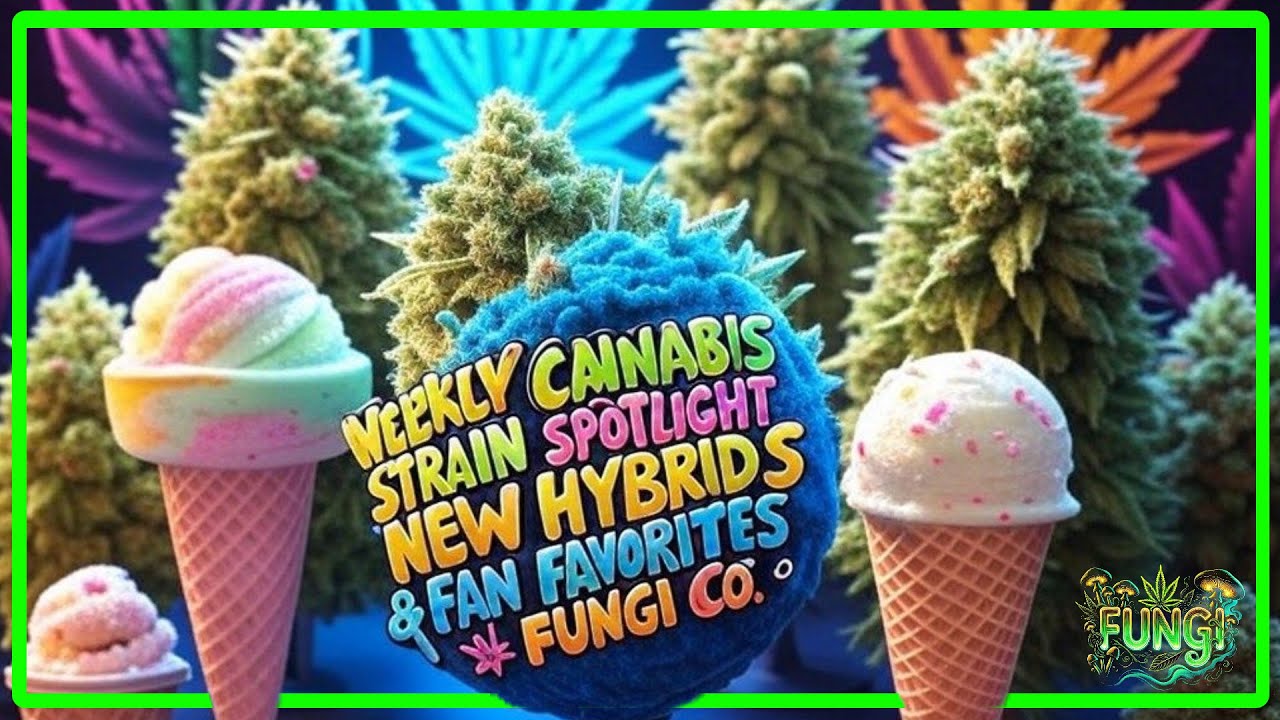 🔥 Weekly Cannabis Strain Spotlight: New Hybrids & Fan Favorites 🌿 | FUNGI Co.