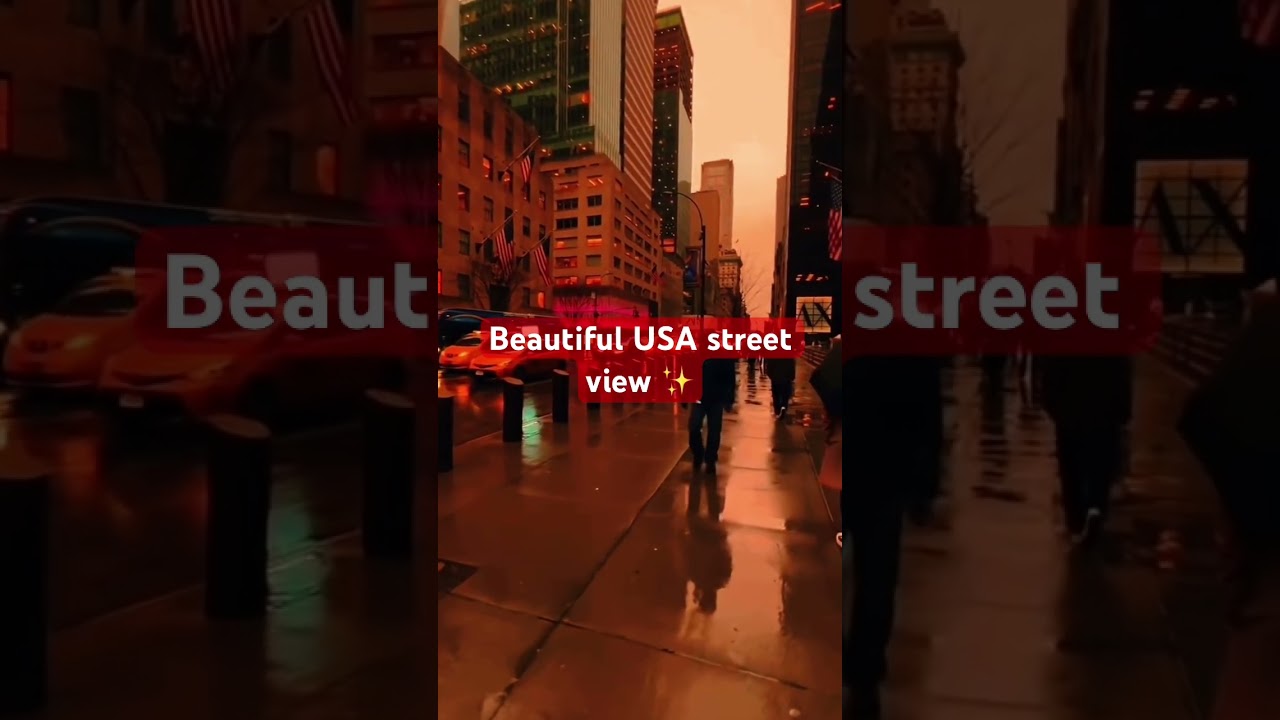 Beautiful USA street view #usa #vfamilyvlogs #ytshorts #minivlog #trending #trendingshorts #love #🌲