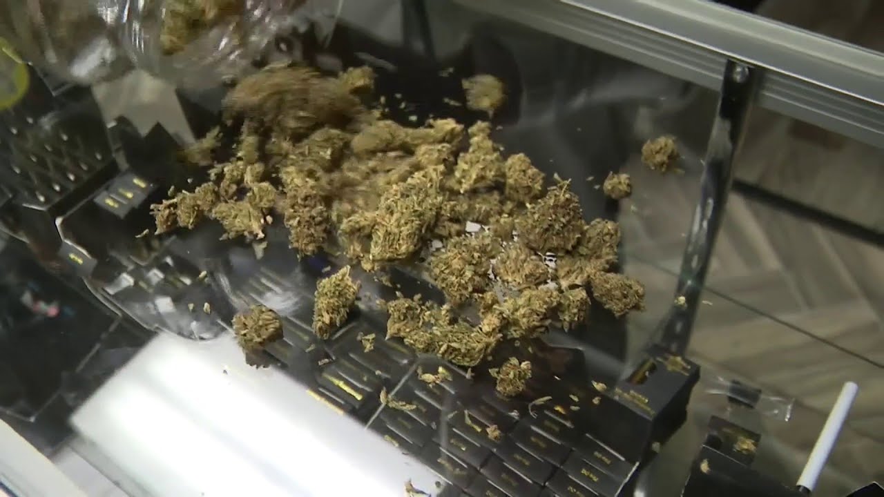 Miami-Dade to no longer prosecute minor marijuana cases