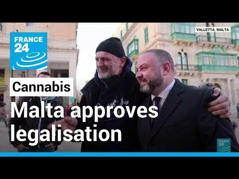 Malta approves legalisation of cannabis for personal use • FRANCE 24 English