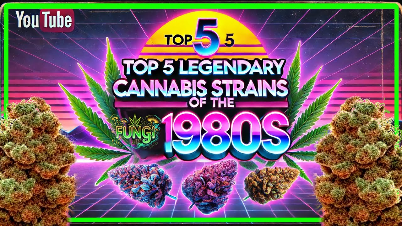 Top 5 Cannabis Strains of the 80s 🌿✨ |  FUNGI Co.