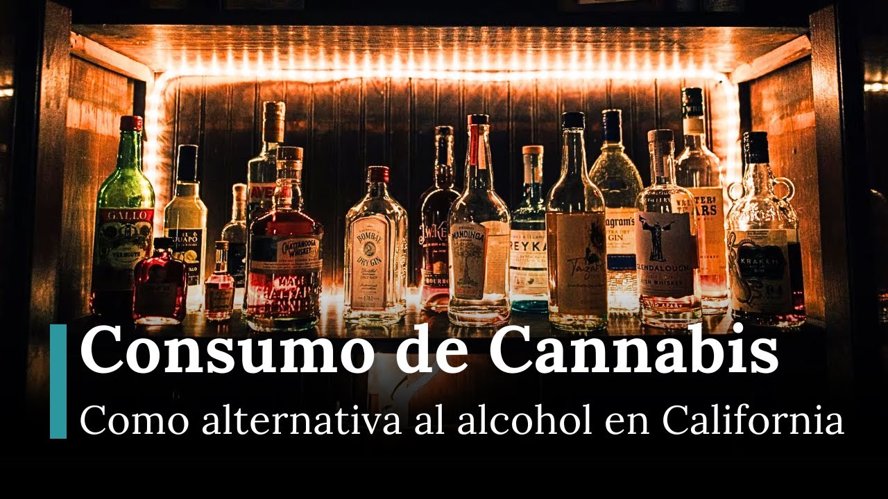 Consumo de cannabis como alternativa al alcohol en California | Airfield Supply Company | RNE | AR1E