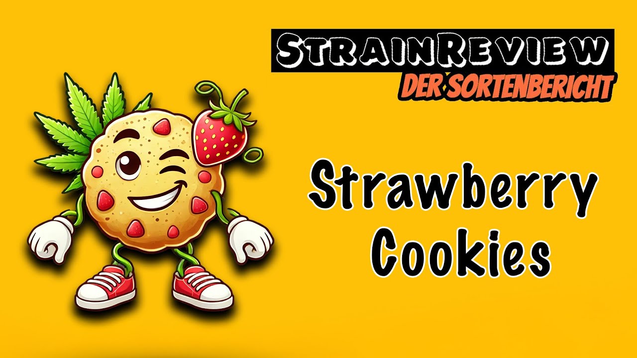 Der medizinische Sortenbericht – Strawberry Cookies (Remexian 30/1 PRT SCK)