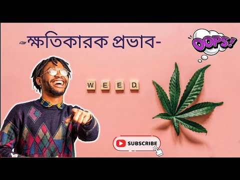 Explain Marijuana Sideeffects || গাঁজার পার্শ্বপ্রতিক্রিয়া বিস্তারিত জানবো @Hyper_Local