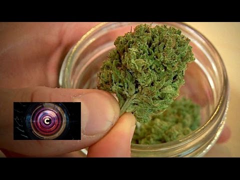 High tech times for medical marijuana in the US – BBC News