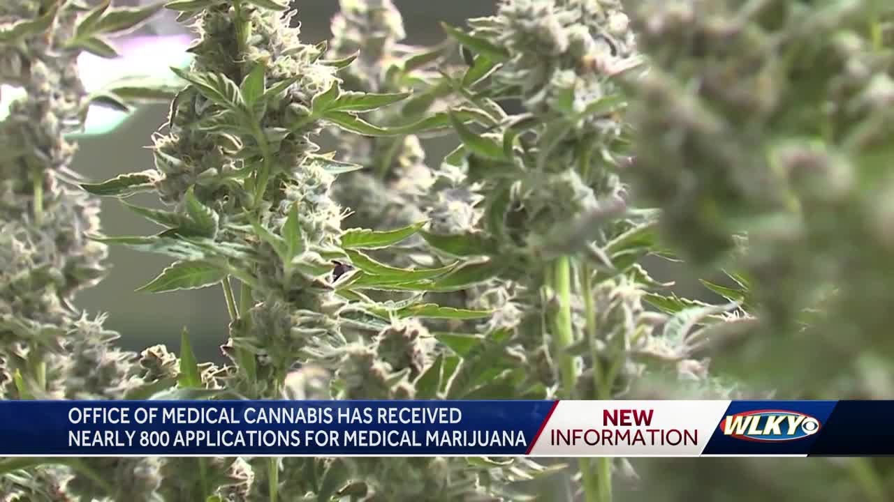 Kentucky's Office of Medical Cannabis has received nearly 800 applications for medical marijuana …